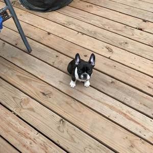 Meet your Posher, Ellen